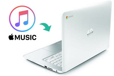 how to play music on chromebook and explore the vast world of online streaming services